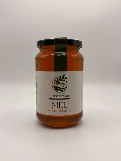 Mel Artesanal Multifloral